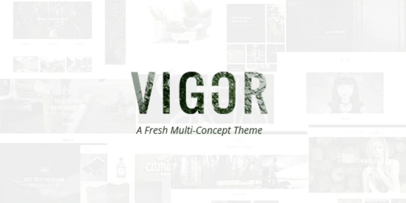 Theme Vigor