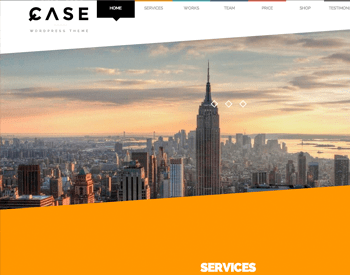 Case