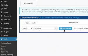 Multisite Domain Mapping