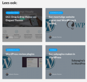 WordPress gerelateerde berichten