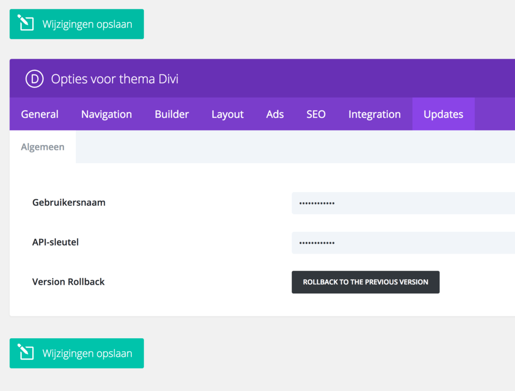 Divi theme options