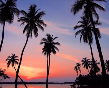 Je blog draaiende houden tijdens je vakantie