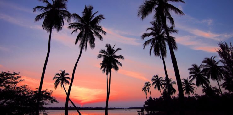 Je blog draaiende houden tijdens je vakantie