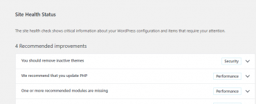 Website gezondheid Wordpress website