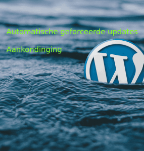 WordPress automatische geforceerde update