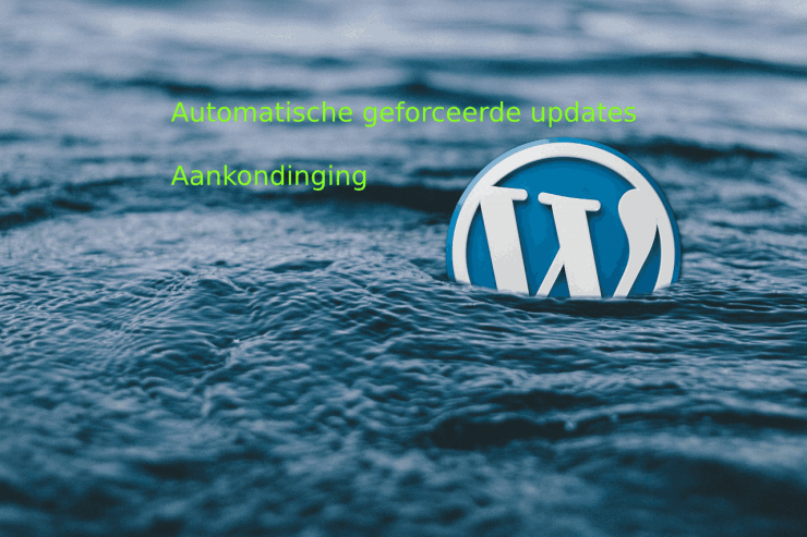WordPress automatische geforceerde update