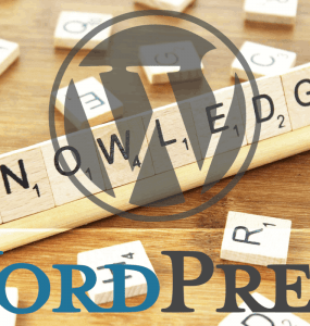 WordPress kennis - onze meestgelezen artikelen