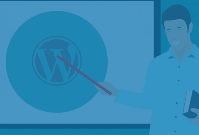 WordPress Training