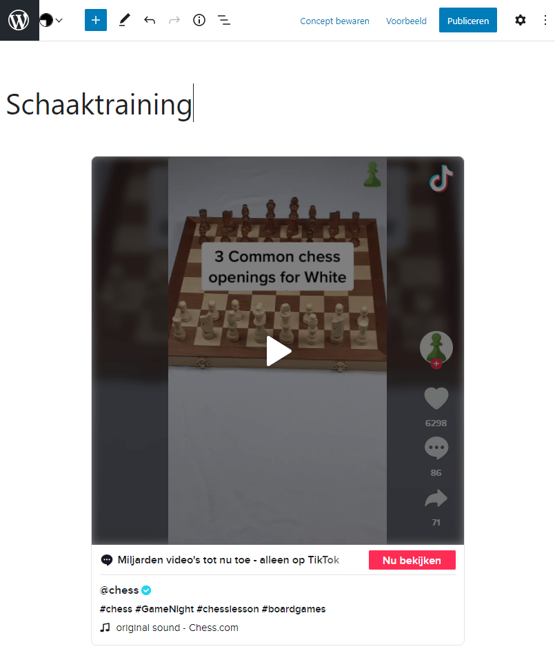 TikTok video voorbeeld