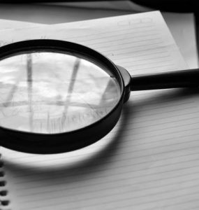 wordPress audit