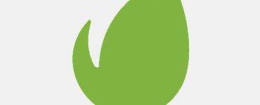 envato market